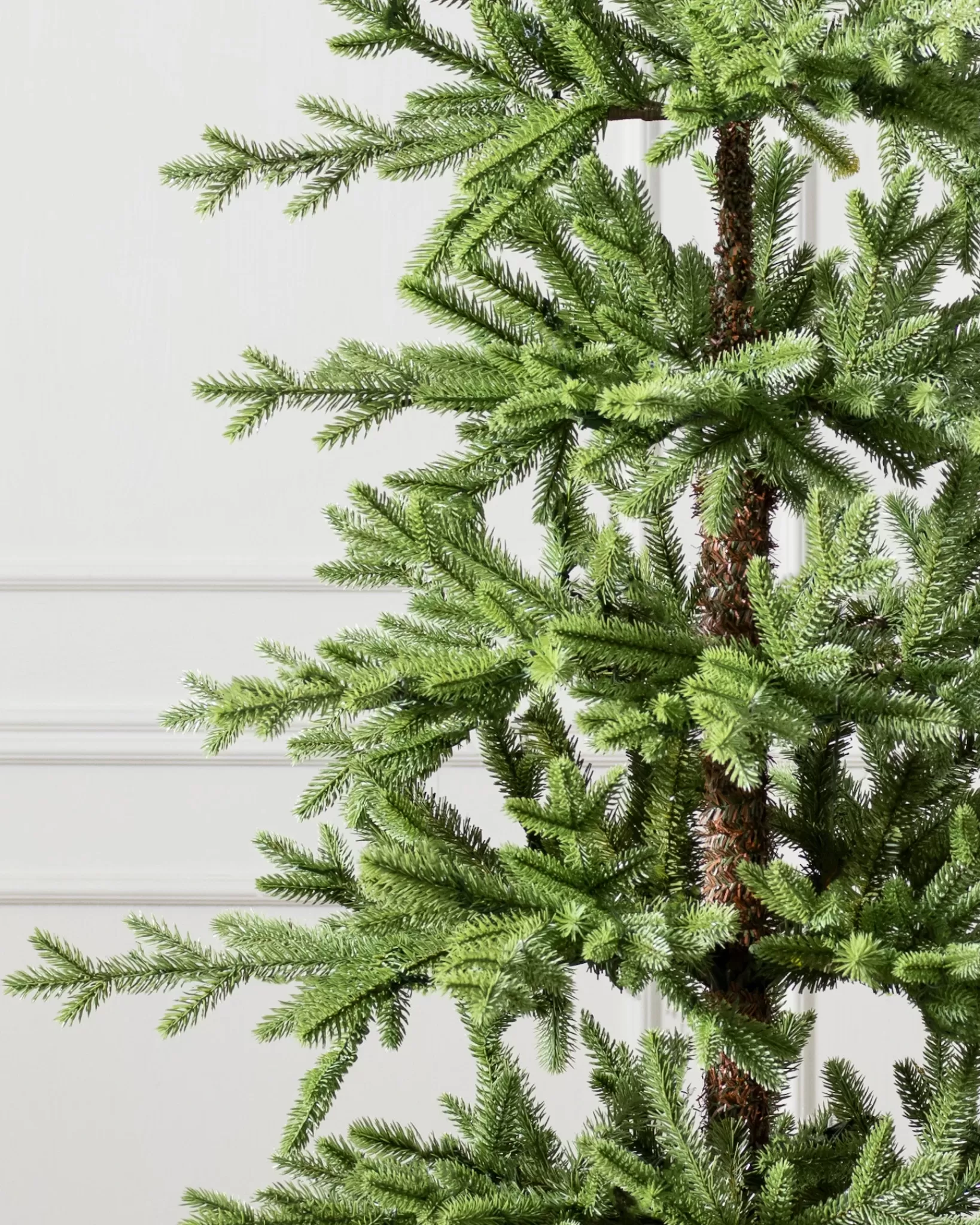 Store Alpine Balsam Fir Trees 7 - 7.5 Feet | Under 6 Feet