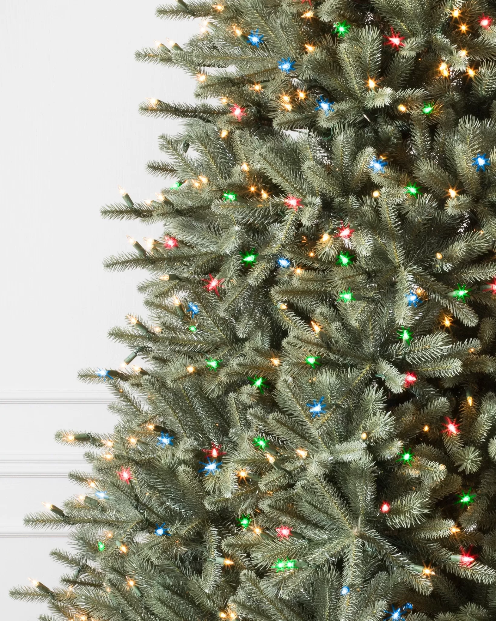 Best Sale BH Blue Spruce Trees 7 - 7.5 Feet | 8 - 9 Feet