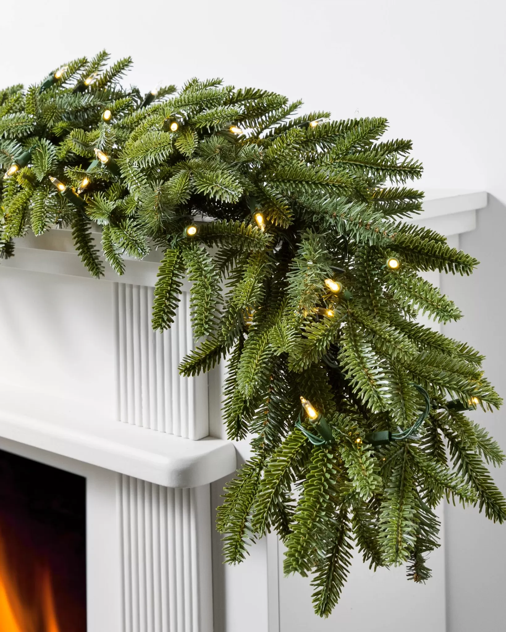 Hot BH Fraser Fir Foliage 18 - 24 Inch | 26 - 28 Inch