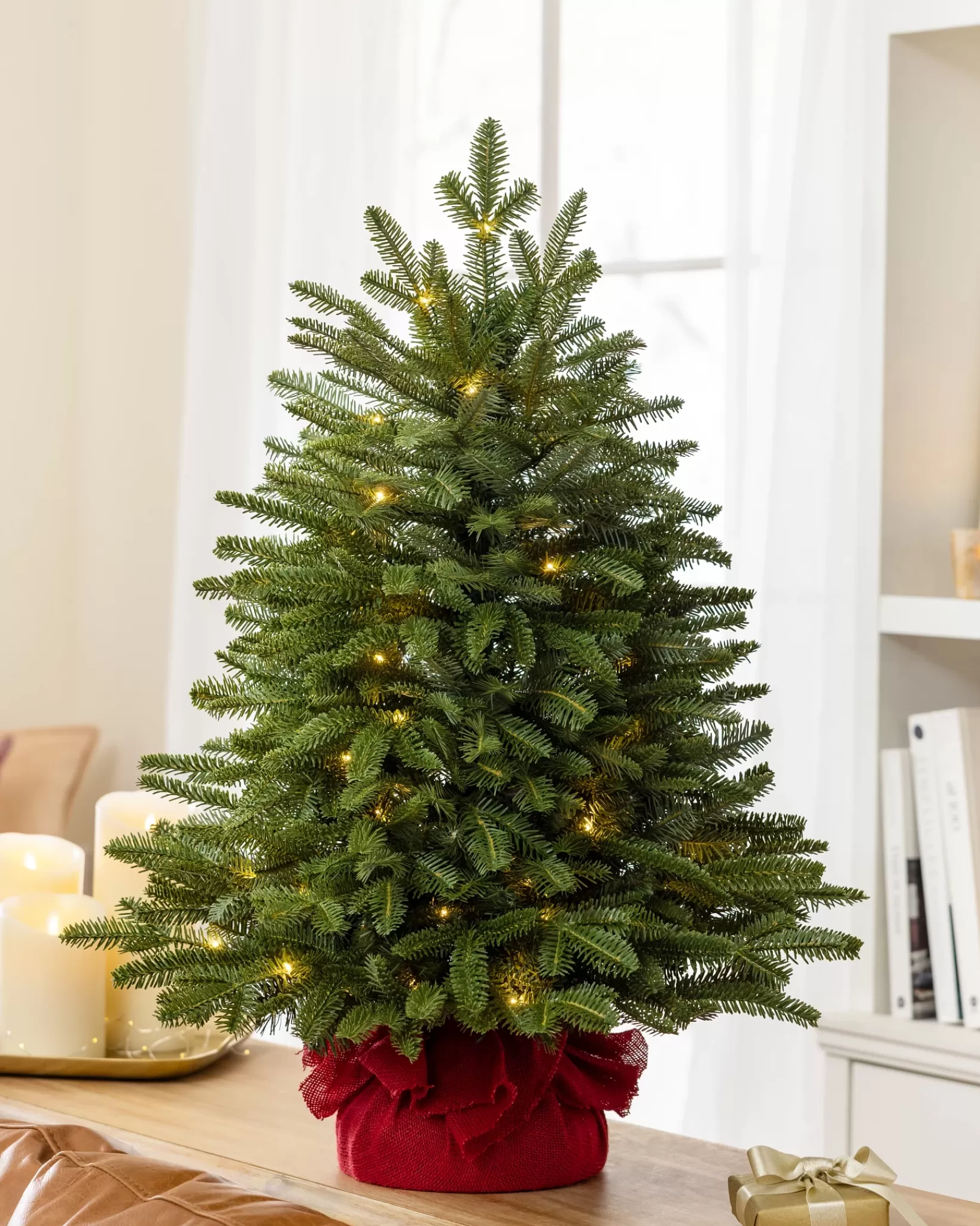 Best BH Fraser Fir® Tabletop Tree Tabletop & Accent Trees