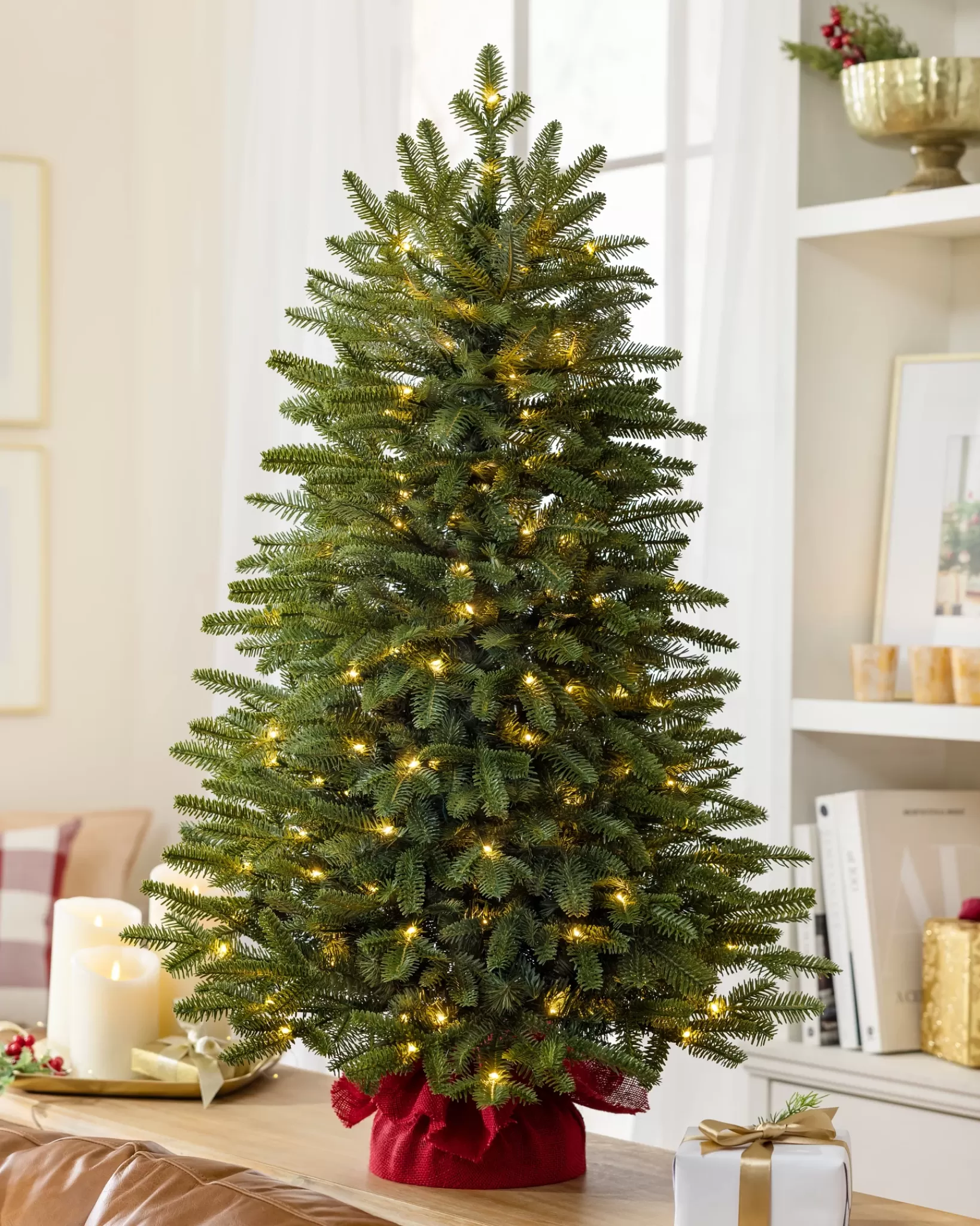 Best BH Fraser Fir® Tabletop Tree Tabletop & Accent Trees