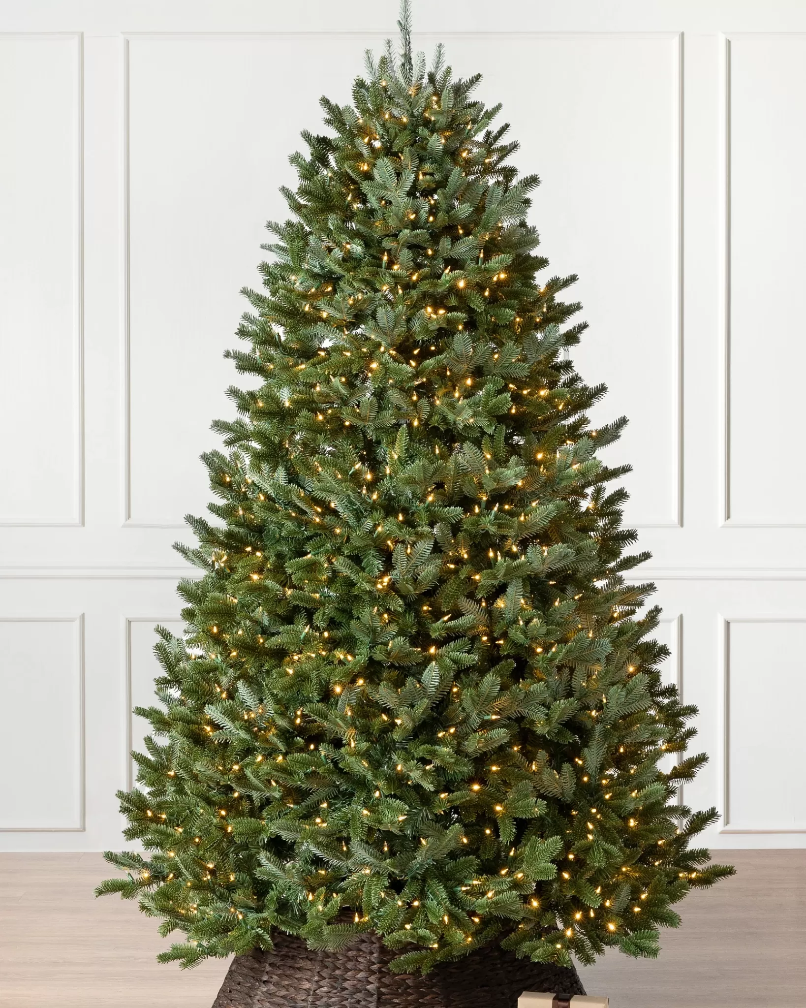 Clearance BH Fraser Fir Trees 7 - 7.5 Feet | 7 - 7.5 Feet