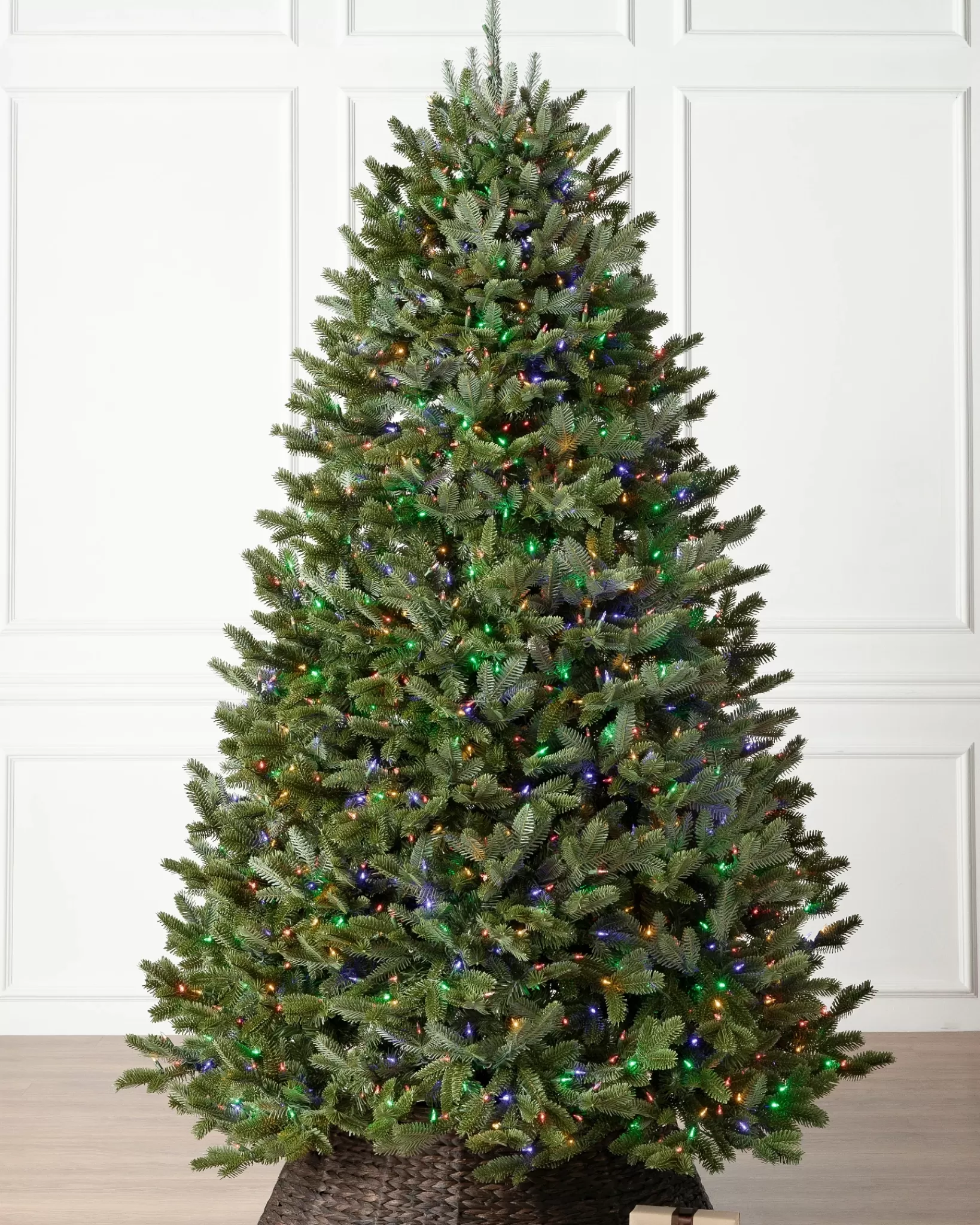 Clearance BH Fraser Fir Trees 7 - 7.5 Feet | 7 - 7.5 Feet