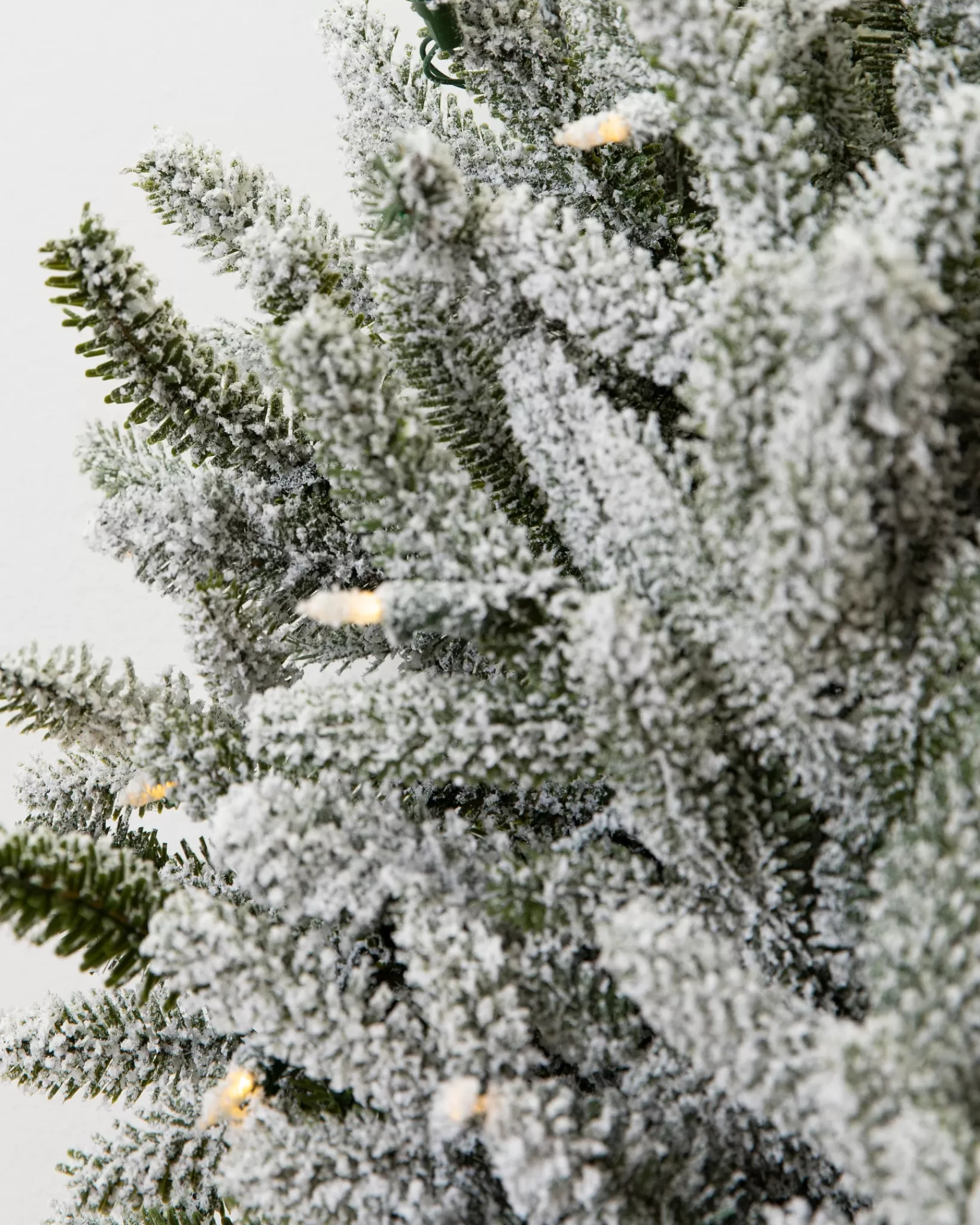 Discount BH Frosted Fraser Fir® Foliage 5 - 7 Feet | Pre-Lit