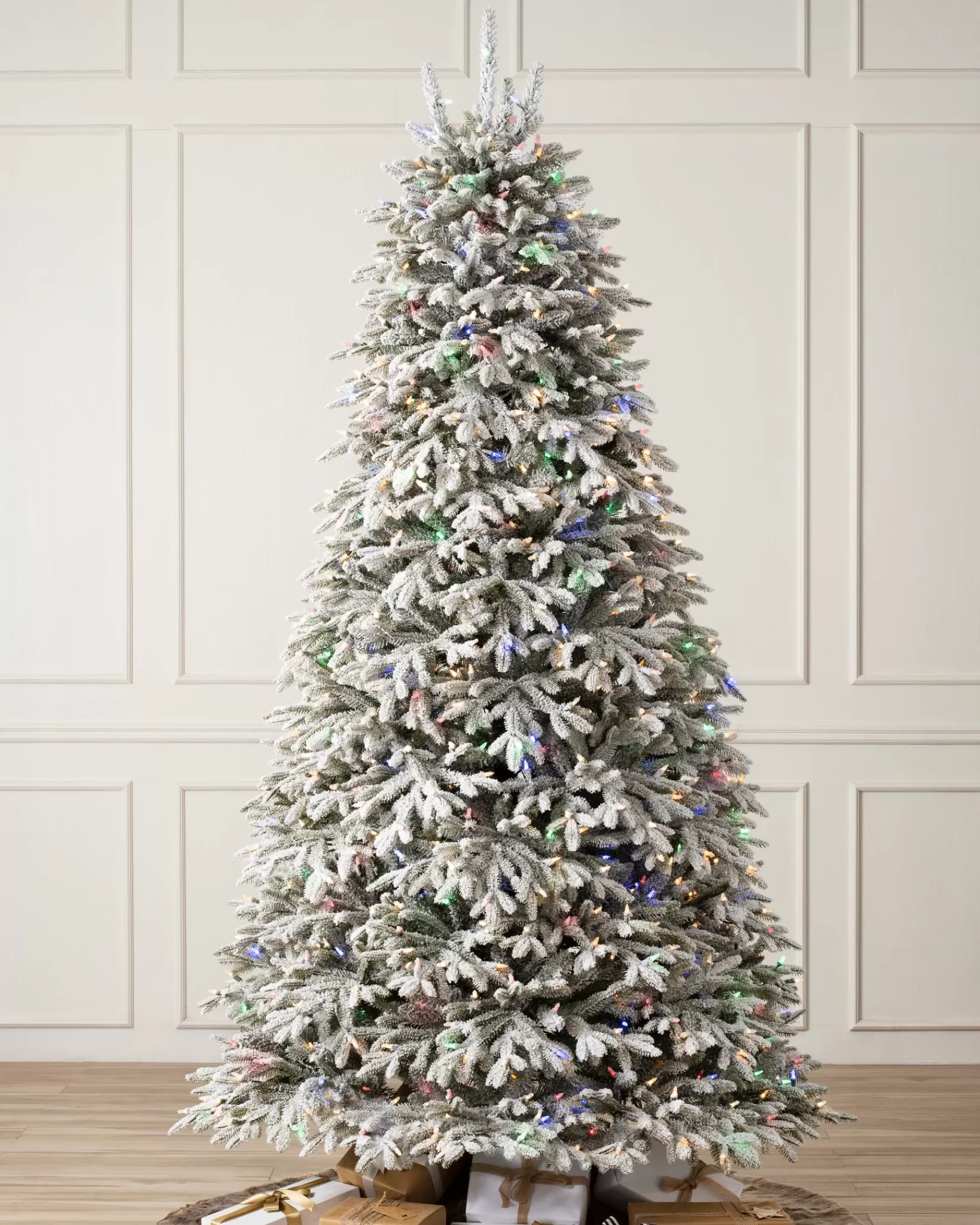 Clearance BH Frosted Fraser Fir® Trees 7 - 7.5 Feet | Under 6 Feet