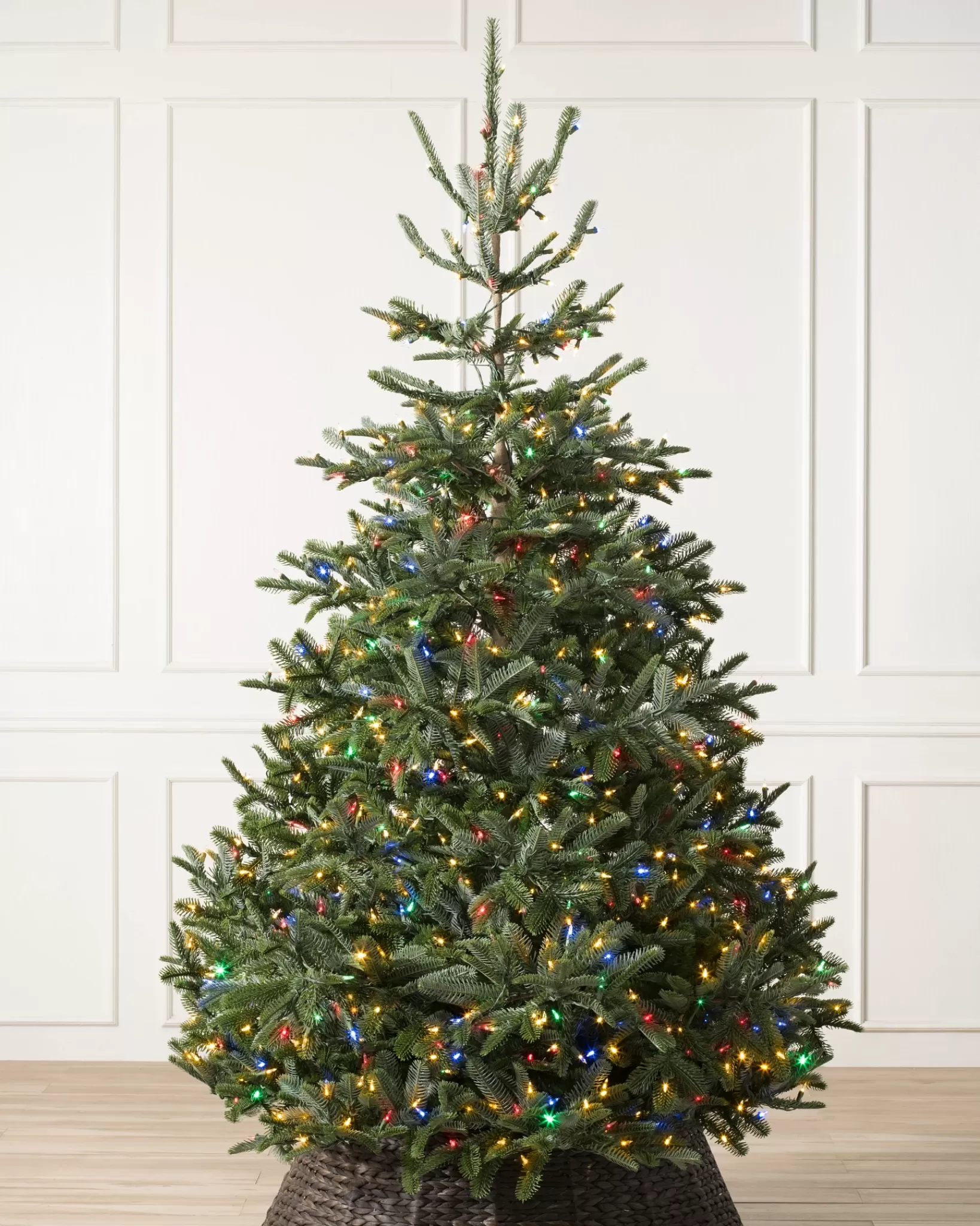 New BH Nordmann Fir Trees 7 - 7.5 Feet | 6 - 6.5 Feet