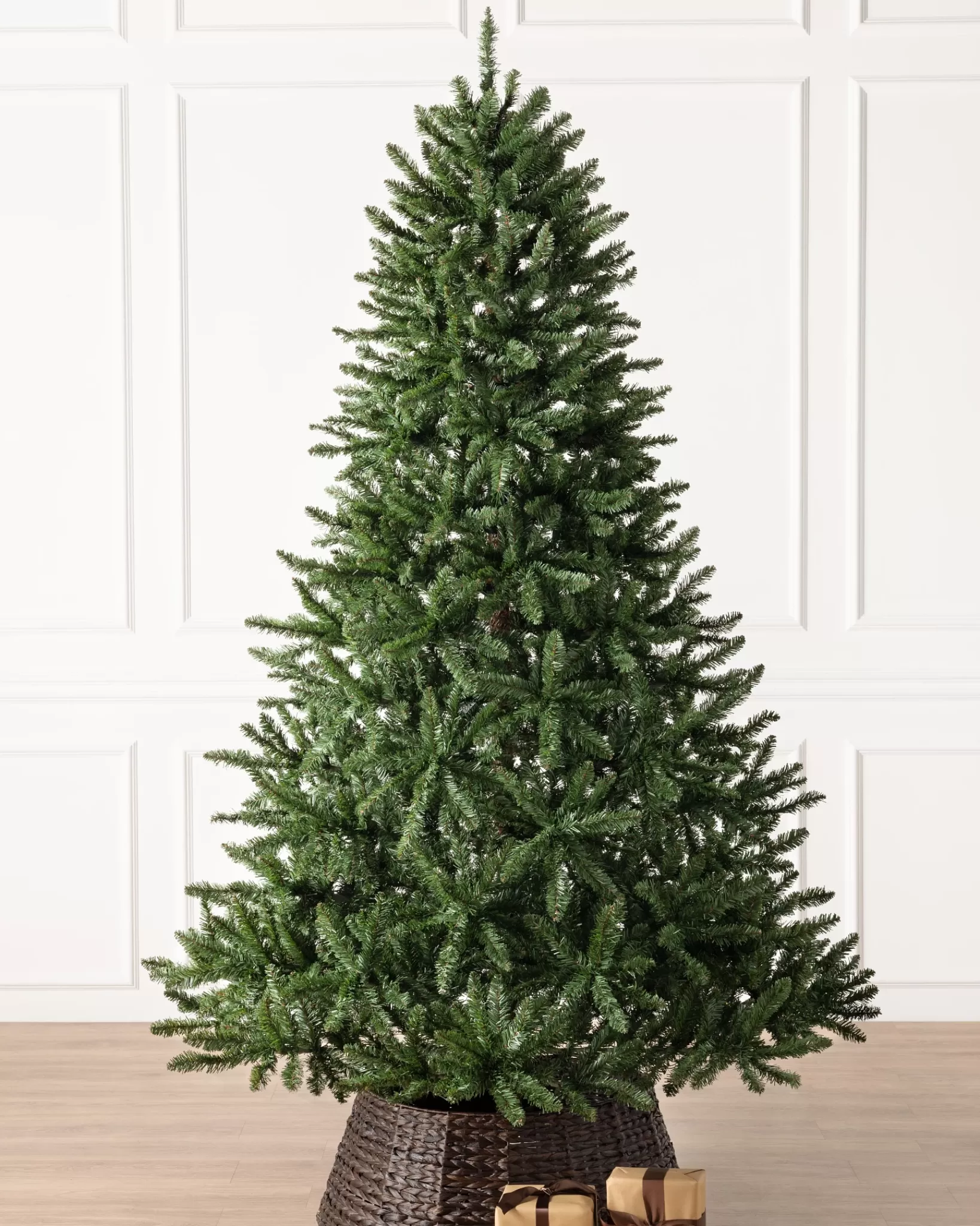 Clearance Classic Evergreen Spruce Trees 7 - 7.5 Feet | 6 - 6.5 Feet