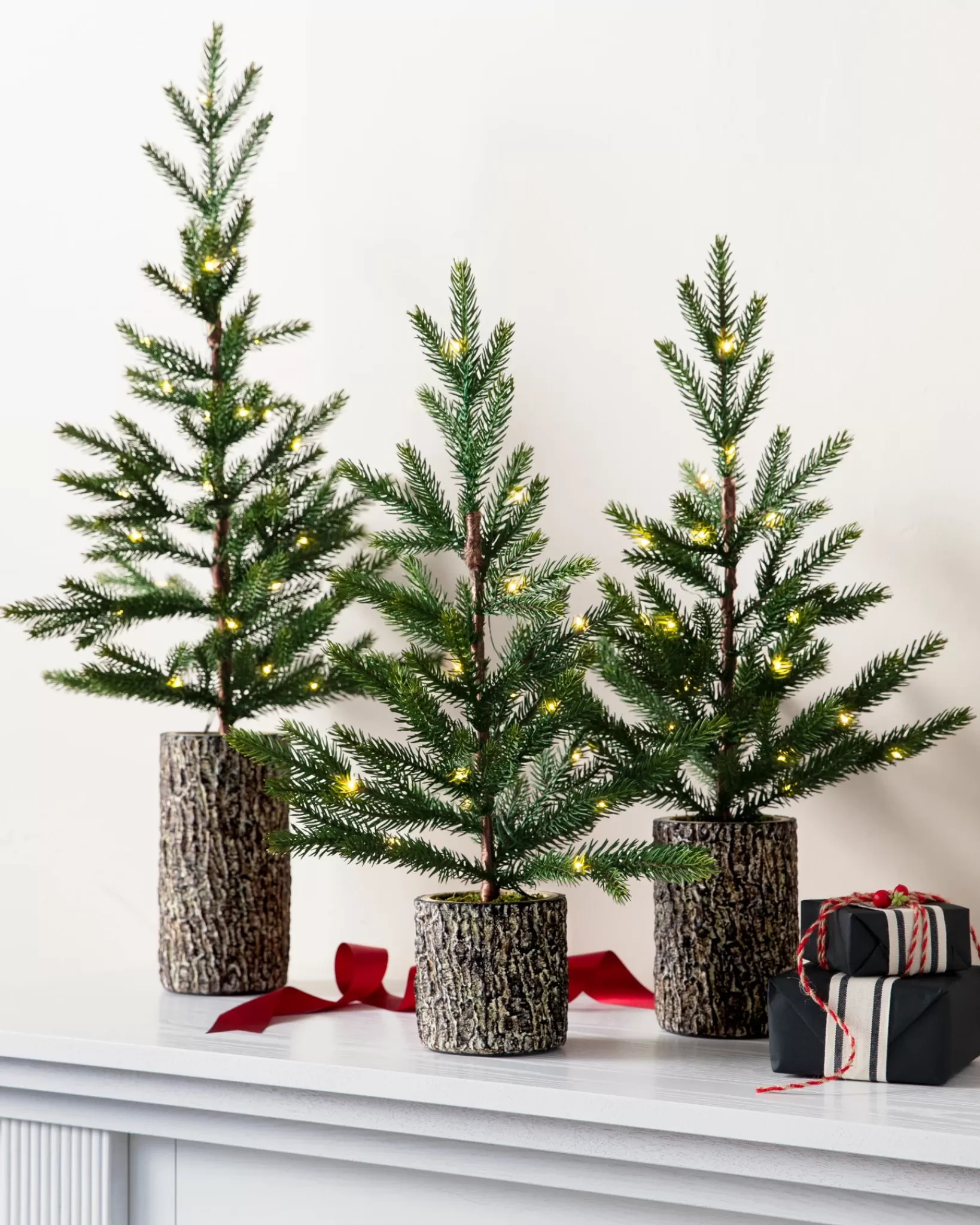 Best Evergreen Saplings Tabletop Trees Tabletop & Accent Trees