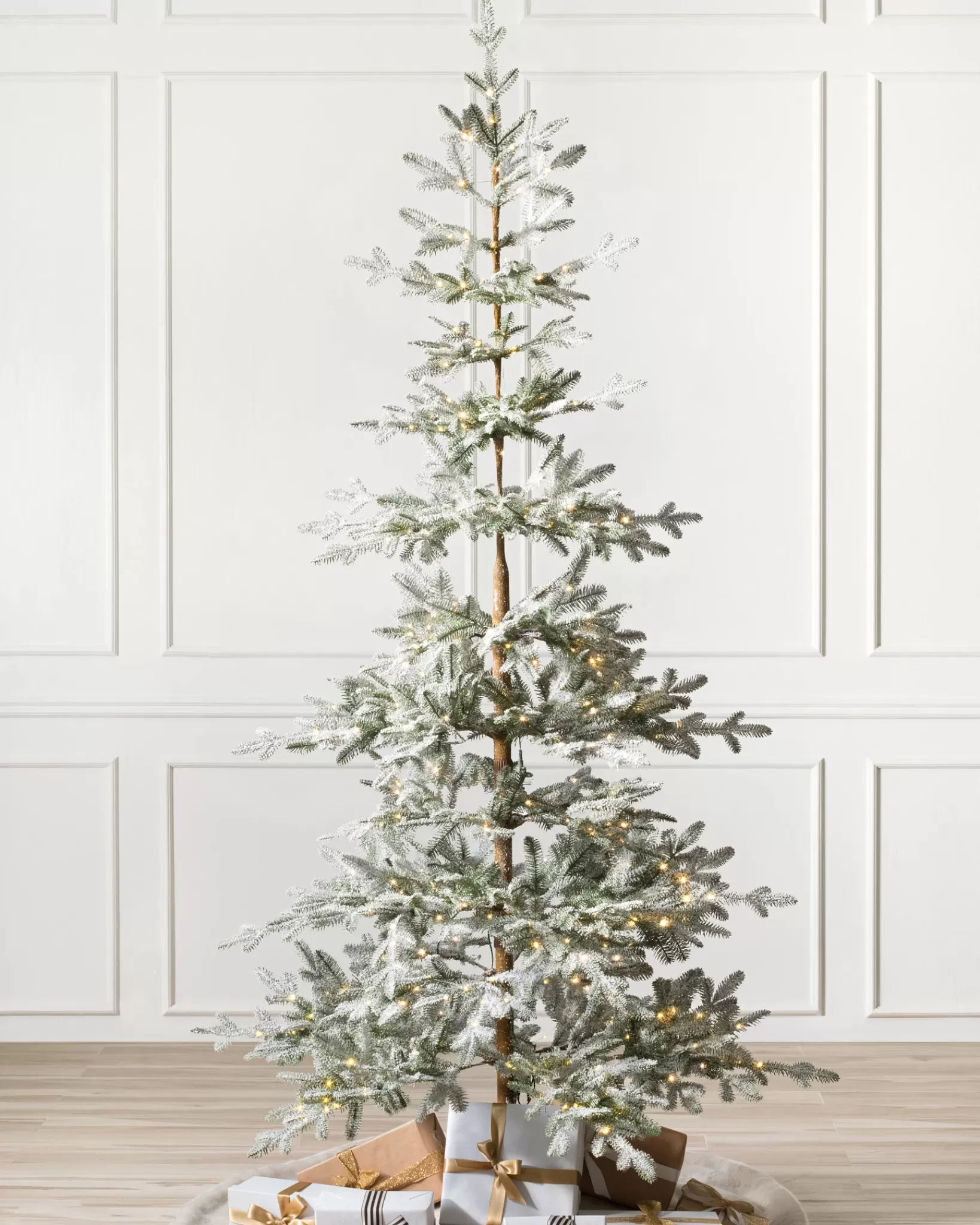 Shop Frosted Alpine Balsam Fir Trees 7 - 7.5 Feet | Under 6 Feet