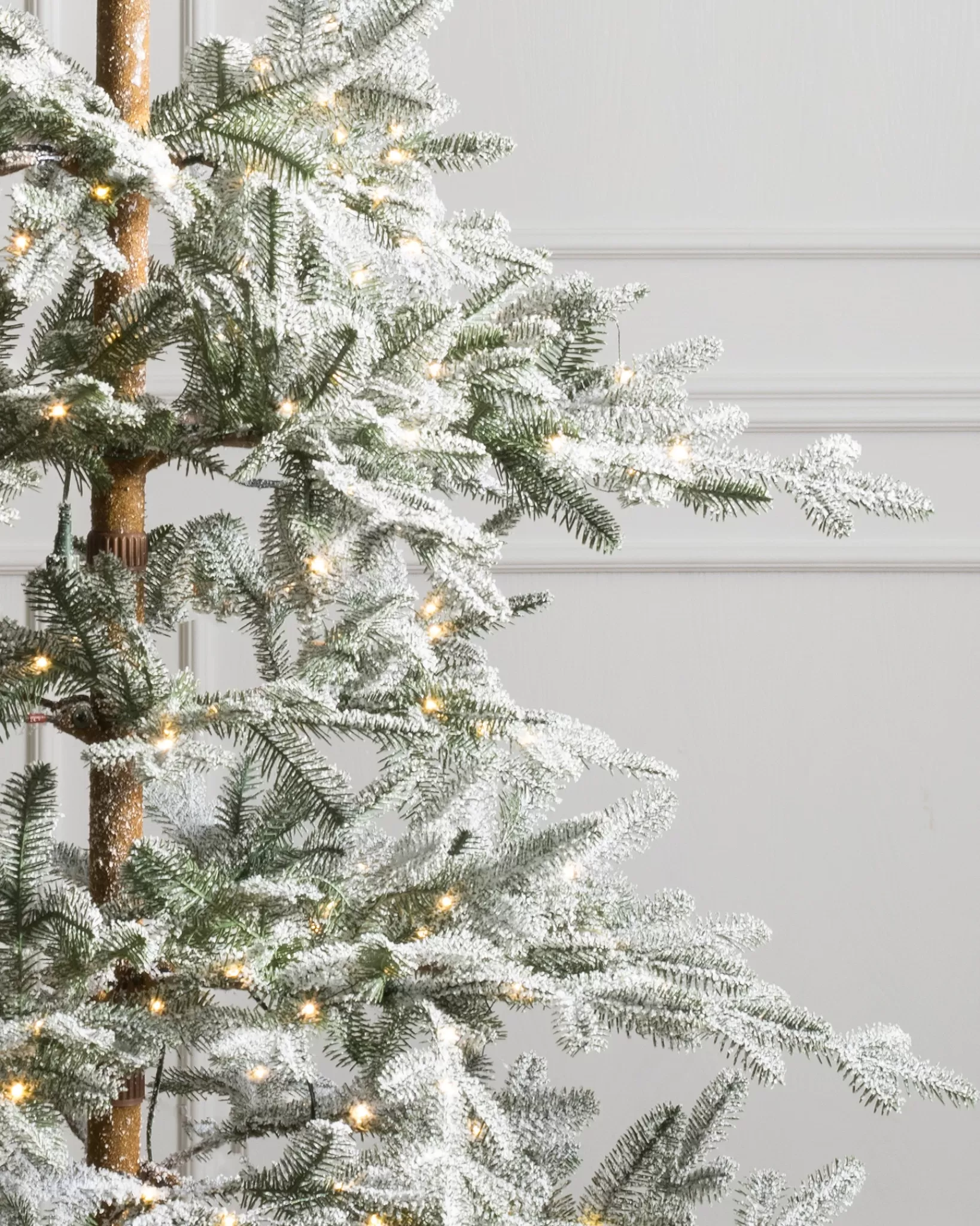 Shop Frosted Alpine Balsam Fir Trees 7 - 7.5 Feet | Under 6 Feet