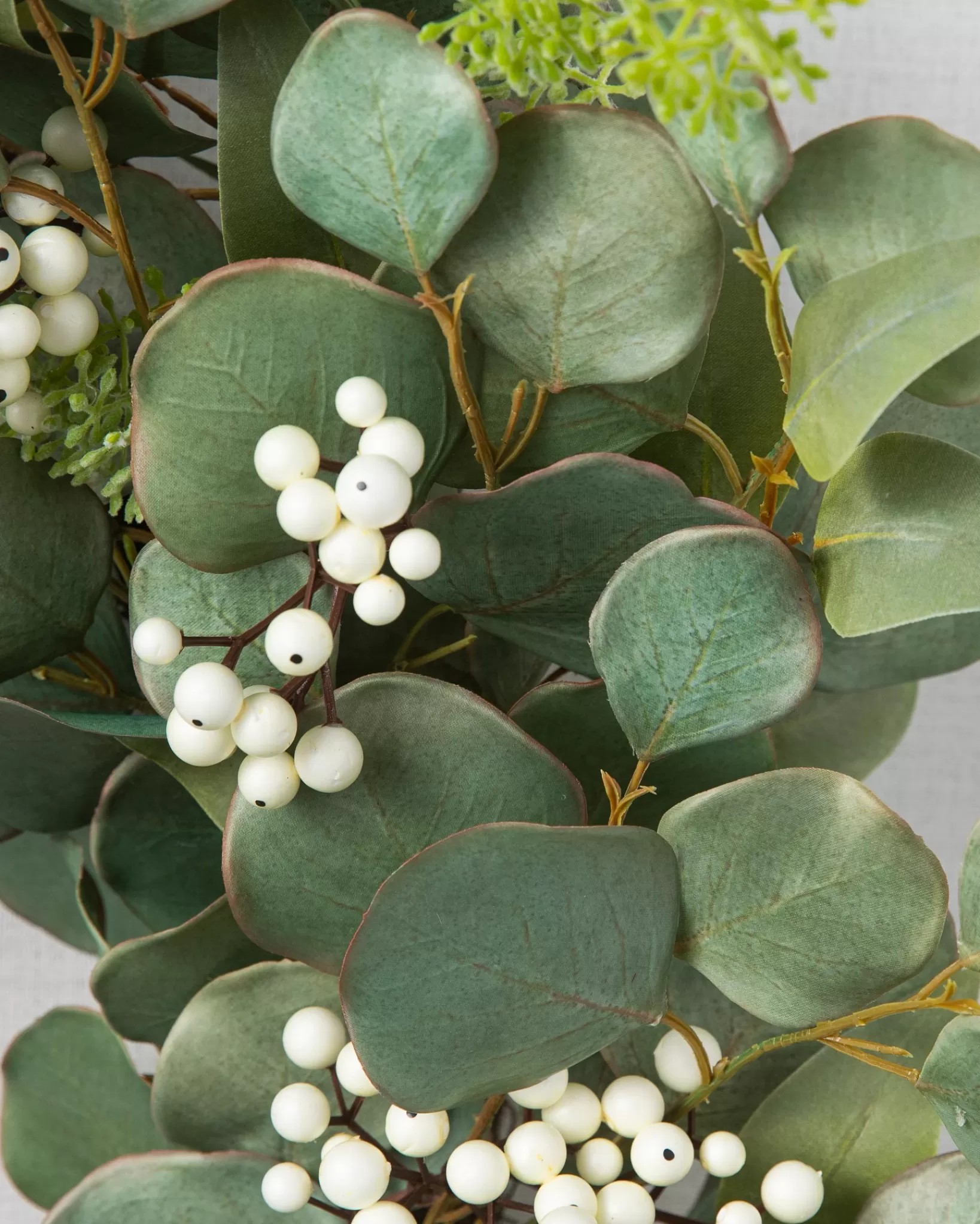 Shop Mixed Eucalyptus Foliage Indoor | Wreaths