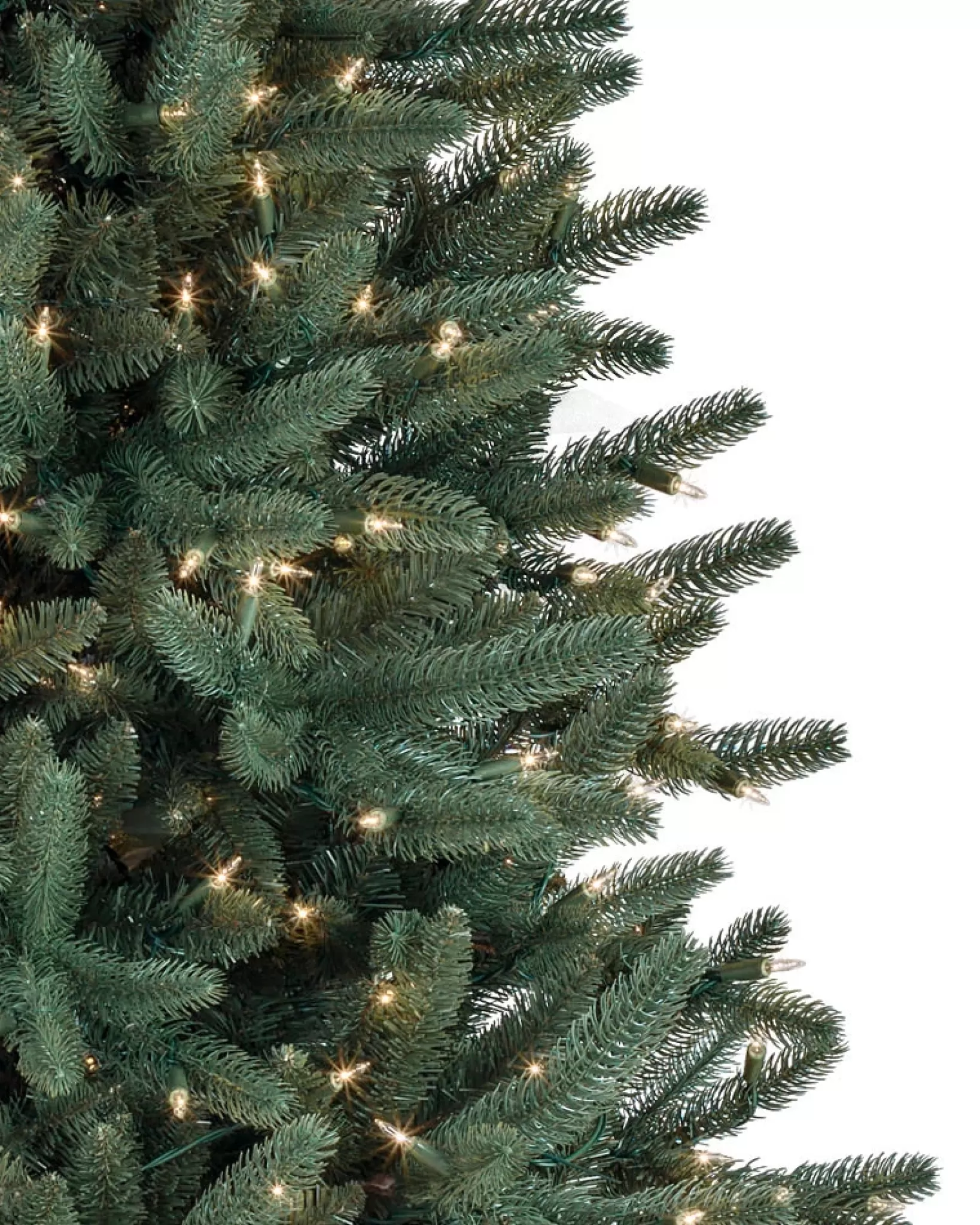 Hot Oakville Outdoor® Trees 7 - 7.5 Feet | 6 - 6.5 Feet