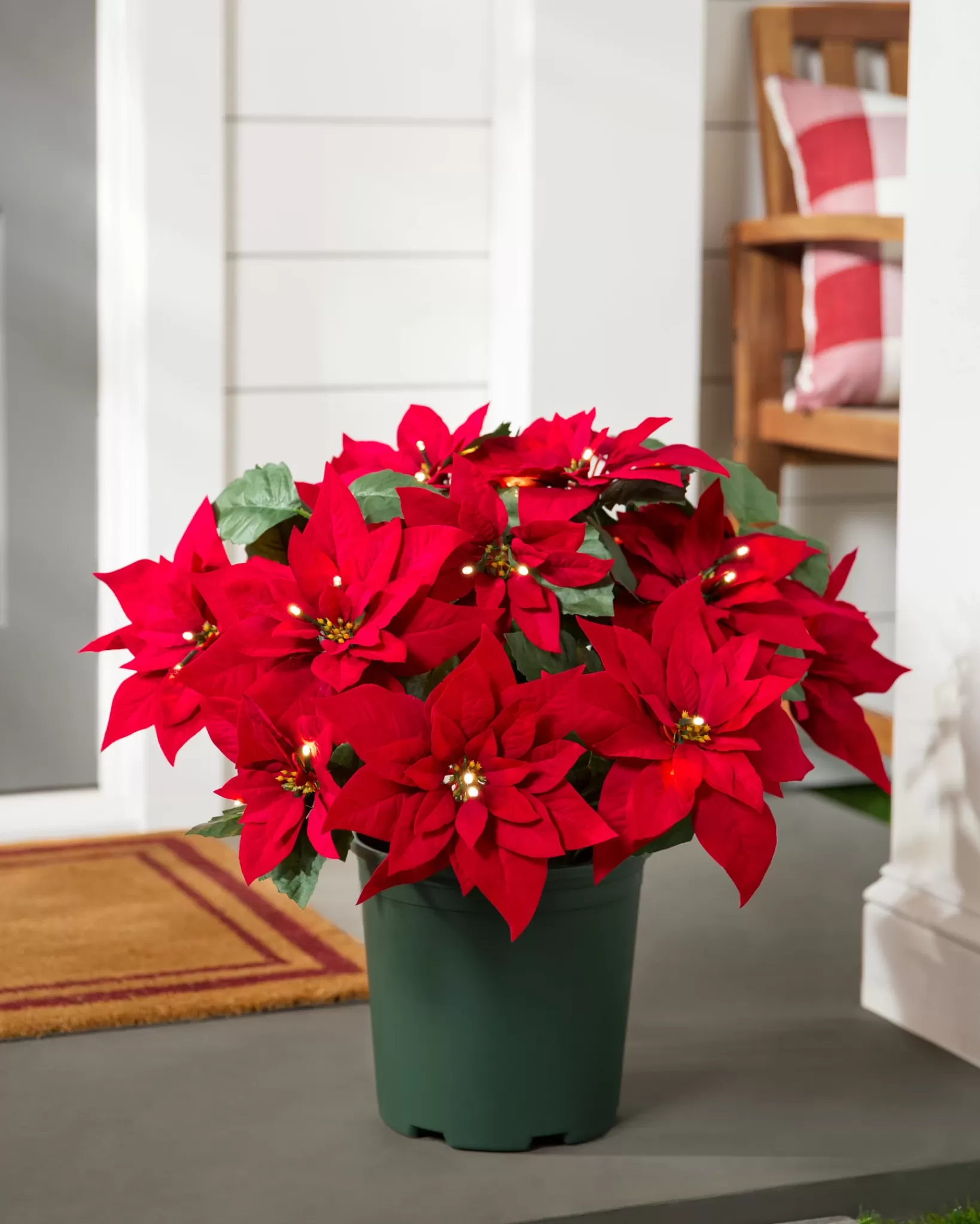 Flash Sale Outdoor Lit Poinsettia Celebration Foliage 18 - 24 Inch | 26 - 28 Inch