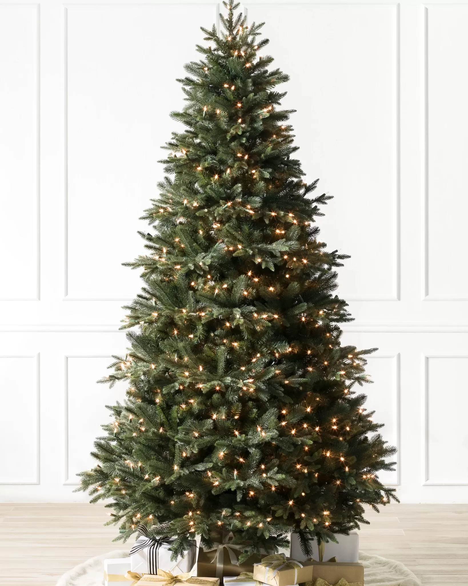 Outlet Saratoga Spruce Trees 7 - 7.5 Feet | 6 - 6.5 Feet