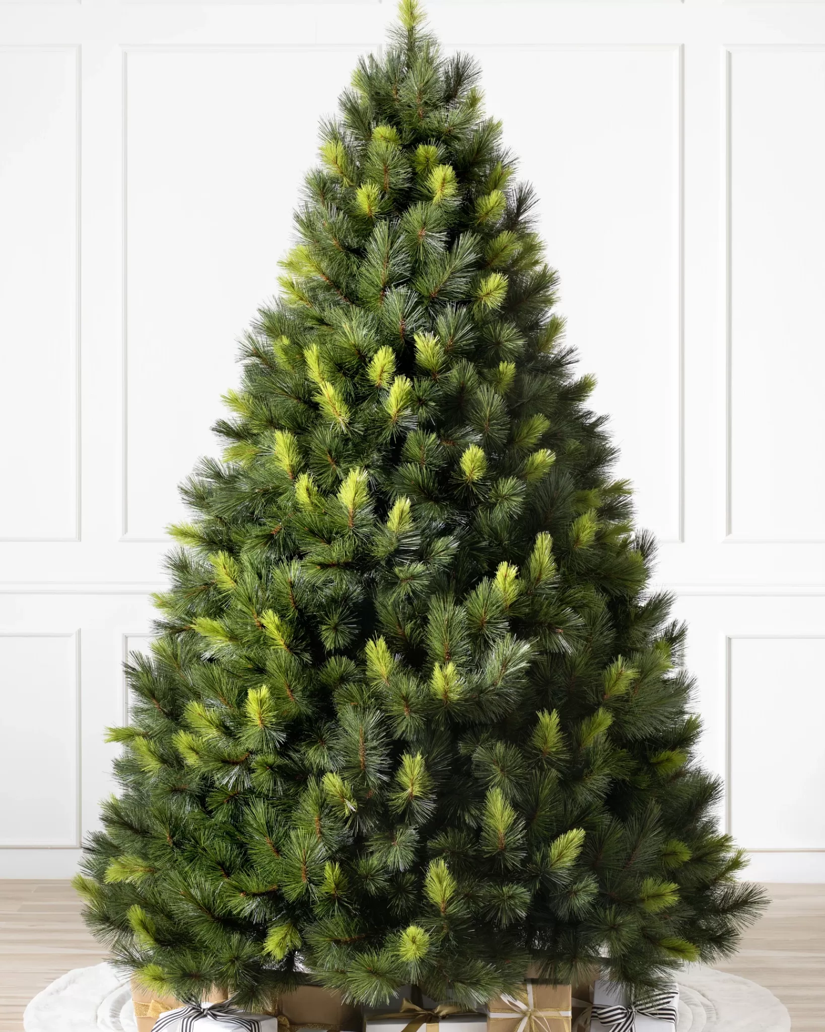 Outlet Scotch Pine Trees 7 - 7.5 Feet | Pre-Lit